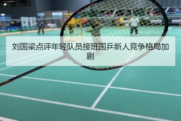 刘国梁点评年轻队员接班国乒新人竞争格局加剧